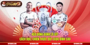 Kèo Đồng Banh Là Gì? Cách Đọc, Chiến Thuật Đặt Cược Đỉnh Cao